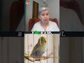 Parrots are tougher to rehome than cats or dogs and here’s why.