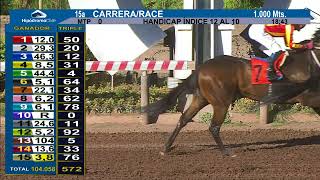 Vidéo de la course PMU PRIX BOOMERANG