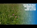 Grazing for Profit and Biodiversity: Multi-species Sward Selection