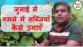 जुलाई के महिने में गमले में कौन सी सब्जियाँ उगाएँ Indian July Vegetables in pot full details