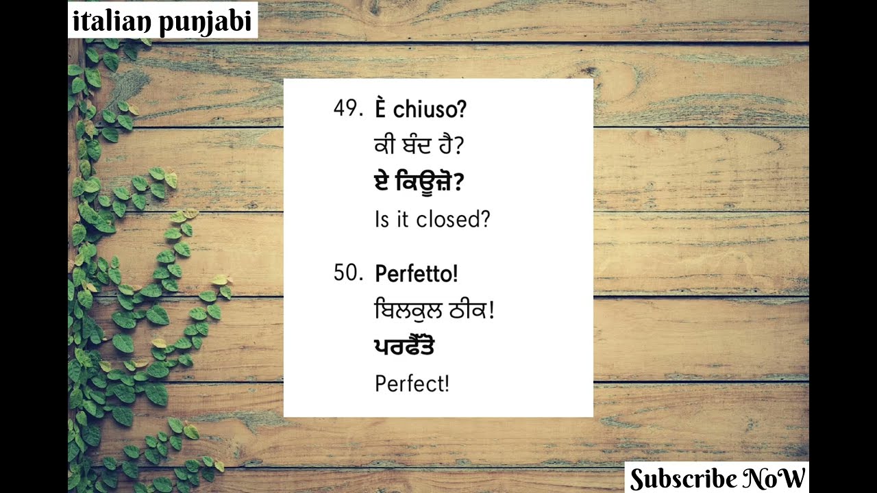ITALY🇮🇹 ਬਹੁਤ ਸਾਰੇ ਨਵੇਂ ਸ਼ਬਦ ❤️ ITALY ❤️#languagelearning #learnitalian #italianpunjabi600 #study 