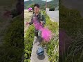 #funny