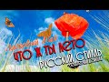Ласковый Май - Русский Стилль/Екатерина Денисова - Что ж ты лето  (New Version  2023)