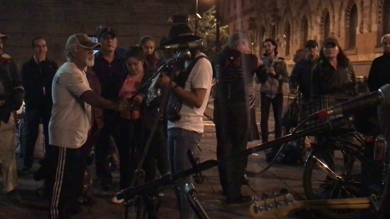 WHOLE LOTTA LOVE LOS BICHOS DEL SOTANO