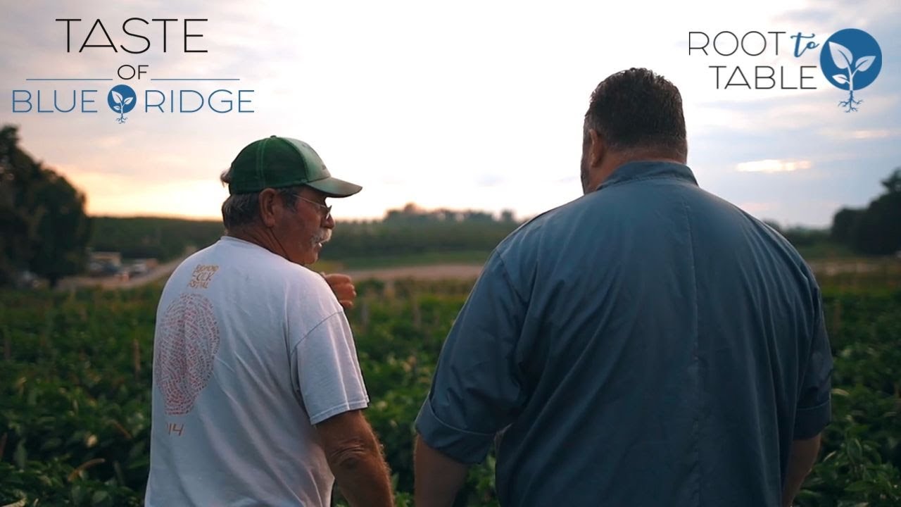Know Your Farmer - Taste of Blue Ridge's Mission