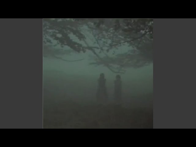 the mangle (slowed & reverb)