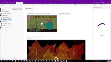 Distributing Pages to Students in OneNote Class Notebook