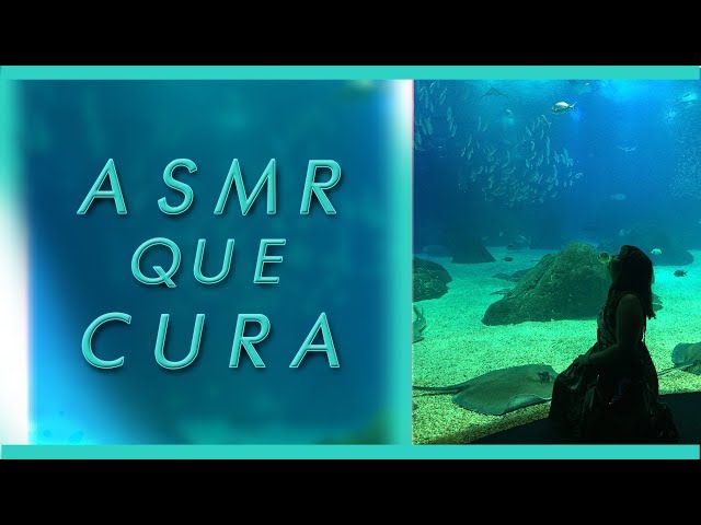 HO'OPONOPONO 🌸 MEDITAÇÃO GUIADA | Ouça todos os dias e mude sua vida