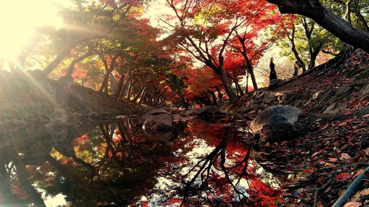 Autumn Mystical Japan (Red Leaves of Kyoto, Nara, Koya-san...)