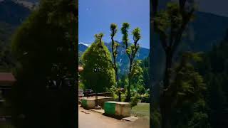 Jannat Kashmir #travel #shorts #explorekashmir #nature#nelumvalley #mountains #riverside #greenscren