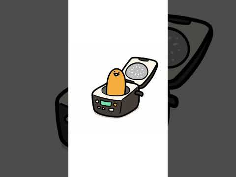 ごはんのお知らせ #お文具さん #shorts