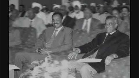 General Tekeste Haile discusses Naizghi