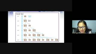 MMW Chapter 1 Session 2