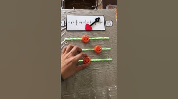 Functional Recycle-Bot