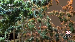 Cannabis advocates ‘disappointed’ with Gov. Spanberger veto to recreational market bill