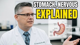 Stomach, Nervous - EDUCATION | Dr. Jason West