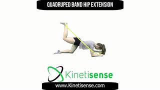 Quadruped Band Hip Extension - Level 2.m