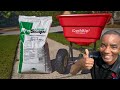 [Fertilizer Application in the Fall] - Tony's Lawn Care Update