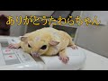 ありがとうたわらちゃん愛してるよ