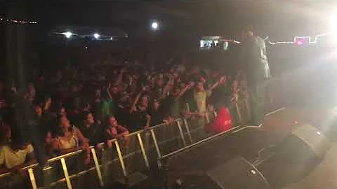 LT. STITCHIE LIVE IN FRANCE : PEN & PAPER