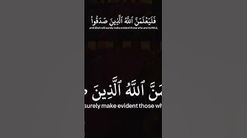 #محمد_اللحيدان #اكسبلور #راحة_نفسية #لايك #تلاوة_خاشعة #النبرة_اللحيدانية #السعودية #سورة_العنكبوت