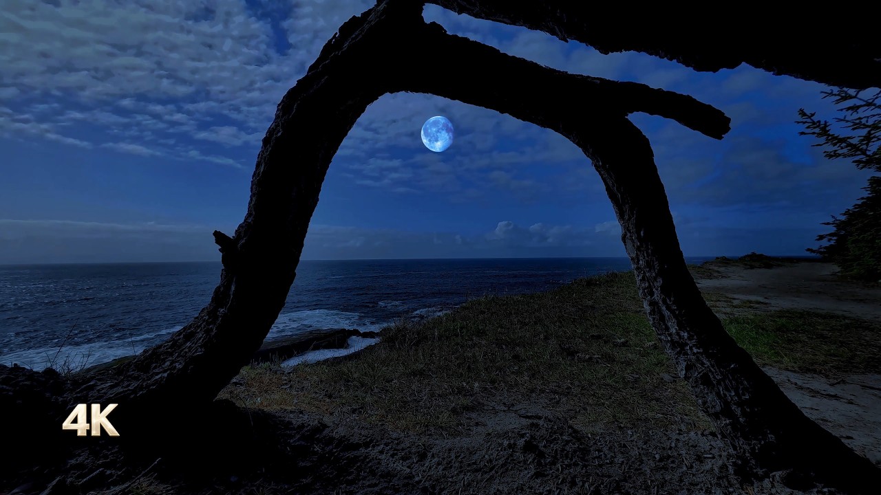 Endors-toi au son calme du piano et de la nature, terre et horizon