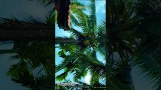 iPhoneb15 video editing Cabot color riding eting video #instagram #iphone #iphone15 #iphone15camera