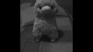 Alpacasso Official Trailer HD