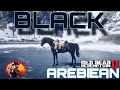 🐴 Black Arebiean horse Location Rdr2 #trending #viral #rdr2 @TechnoGamerzOfficial @TotalGaming093