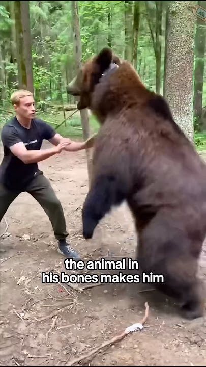 Funny bear 🐻 #shorts #shortvideo #animals #bear