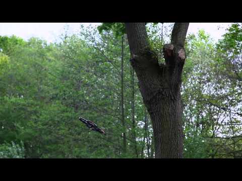 ACME zoopa Q 650 Quadrocopter actionvideo (english)