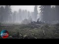 Winter Forest Ambience