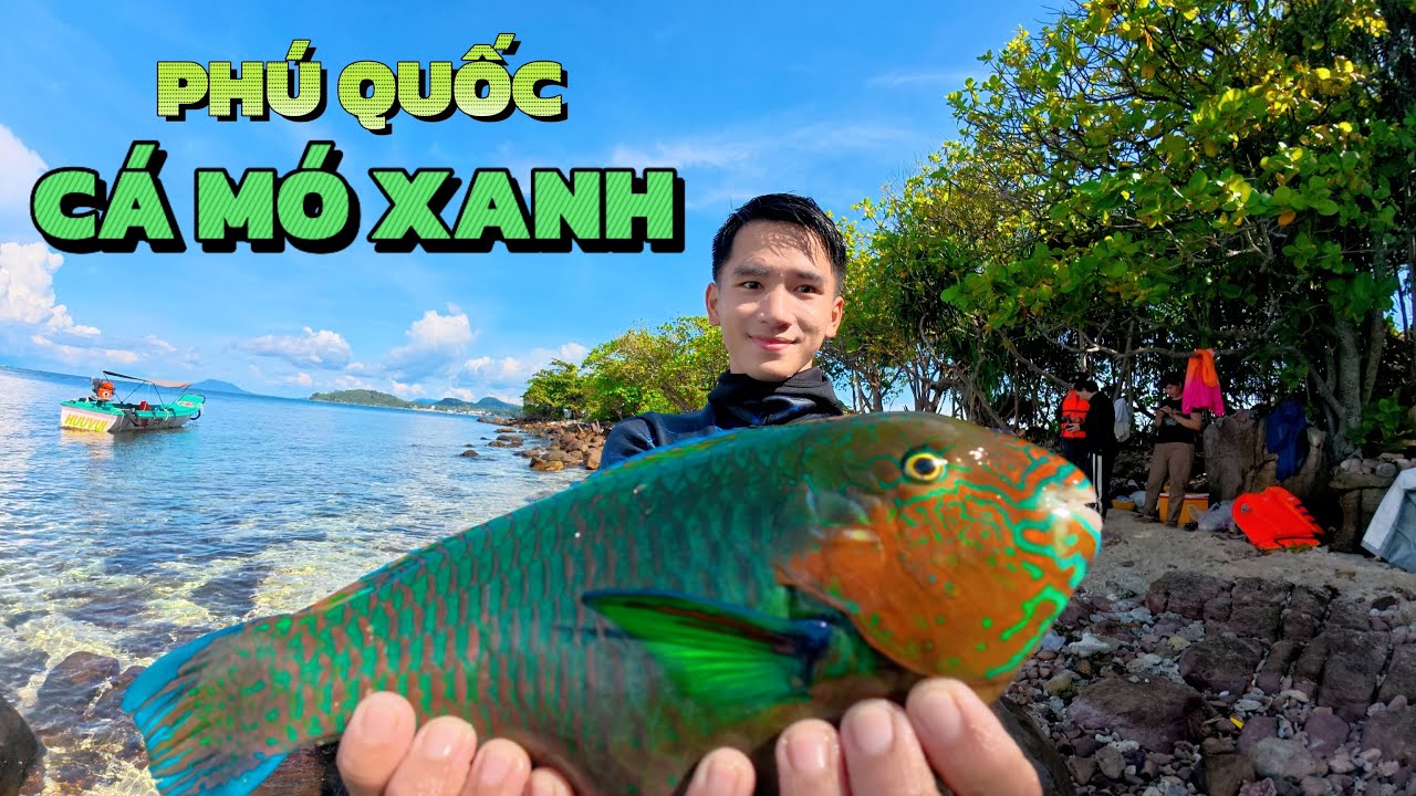 Lần đầu chinh phục CÁ MÓ XANH size khủng tại vùng nước sâu - một ngày trải nghiệm ở Nam Đảo