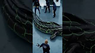 Giant Mysterious Creatures You Won&#39;t Believe Exist!
