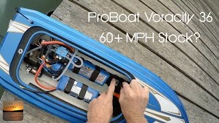 pro boat voracity