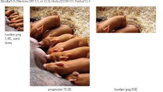 Progressive vs. Baseline JPEG Example (as foreground in Firefox on Windows)