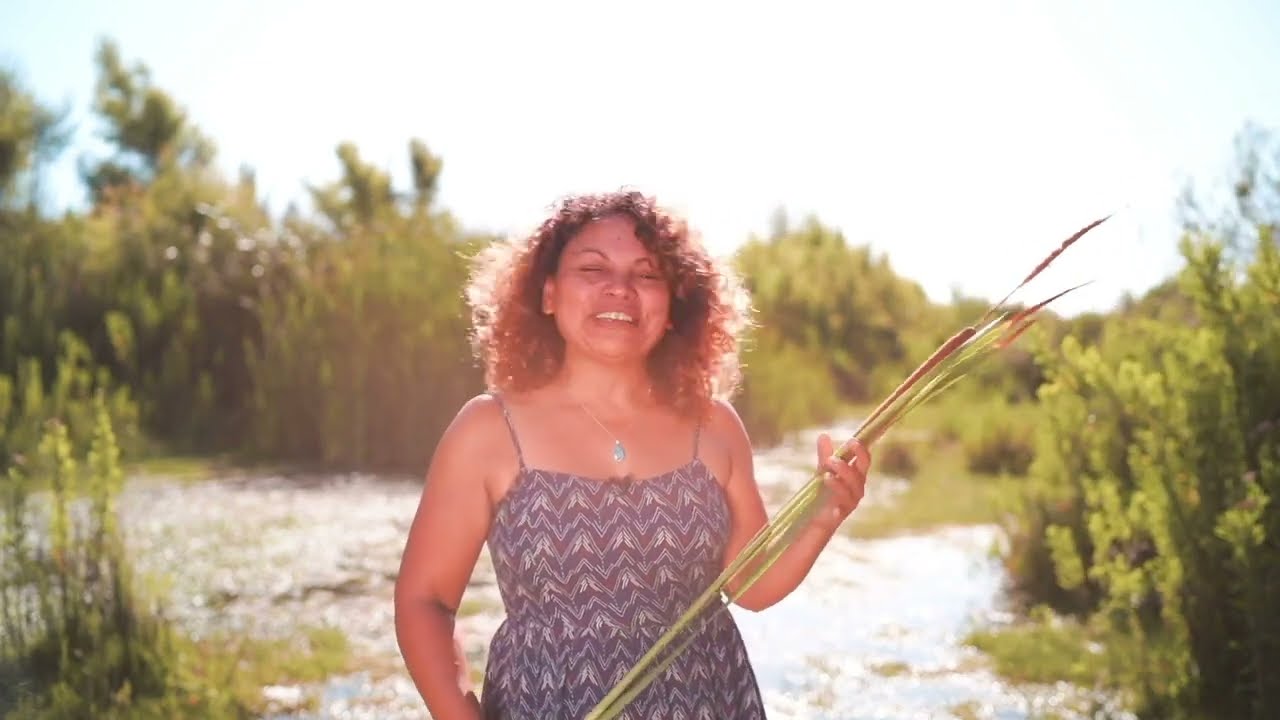 TRADICIONES DEL RÍO HUASCO: 