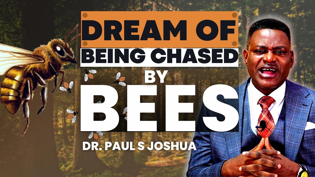 Dream Of Being Chased By Bees Powerful Prayers PAUL S JOSHUA 