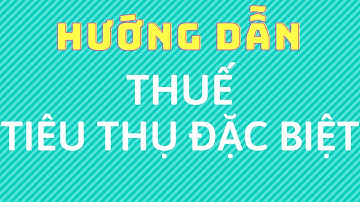 Hướng dẫn thuế Tiêu thụ Đặc biệt hàng hóa I Cách tính thuế I Miễn thuế, Hoàn thuế