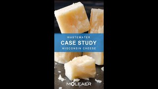 Wastewater Case Study | Wisconsin Cheese