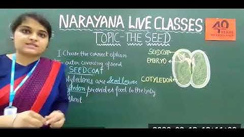 7b  METROS CLASS V SCIENCE ASSIGNMENT VIDEO DAY 5