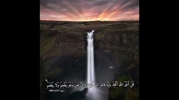 بذكر الله ترتاح النفوس, تلاوه خاشعه, للقارئ عبدالله الموسى, ارح قلبك #تلاوه_في_دقيقة