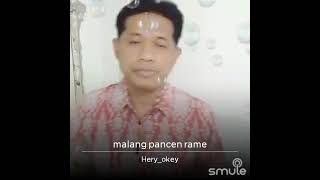 Download Lagu Malang Pancen Rame (Herry OK)