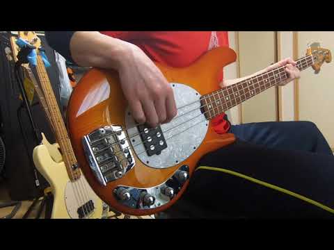 スピッツのハチミツをスティングレイで弾いてみた【ベース弾いてみた】