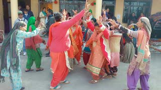 Pahari Dhol Bhangra Wedding Dance || Desi Dance || Himachali Culture || Pahari Mandyali Non-Stop