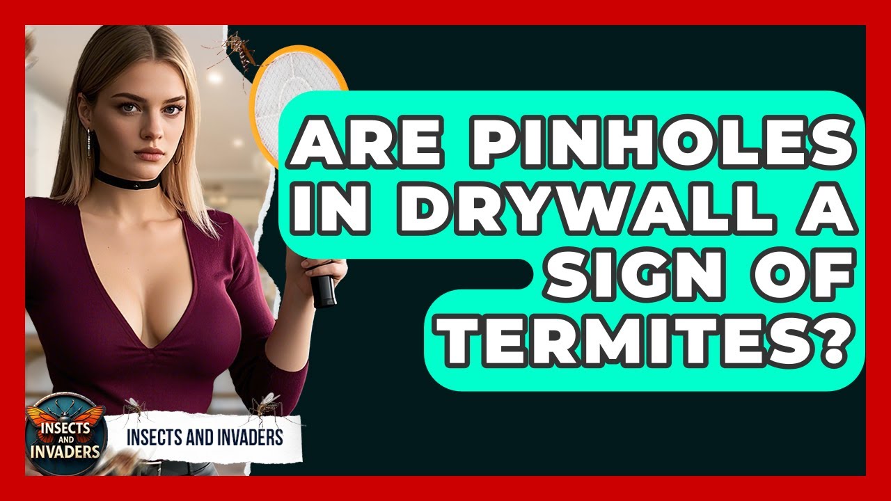 Are Pinholes In Drywall A Sign Of Termites? - Insects and Invaders