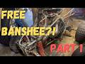 We Tore Down a FREE Banshee — Is the Motor Junk? (Part 1)