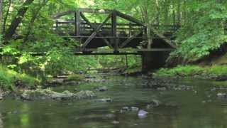 Prince William Forest Park: A Princely Timelapse