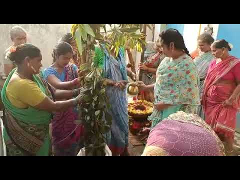 పెళ్లిరాట వెయ్యడం పసుపు కొట్టడం
