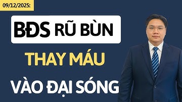 Chứng khoán hôm nay | Nhận định thị trường | Cổ phiếu BĐS rũ bùn vào đại sóng
